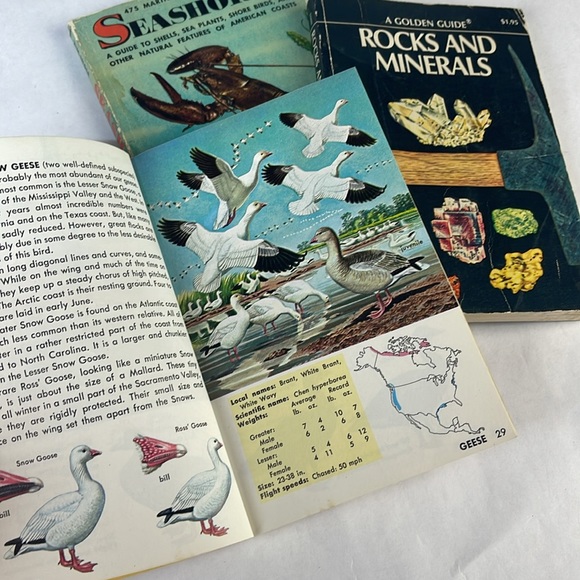 Set of Golden Nature Guide Books - Picture 4 of 9